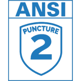 ANSI Pucture Level 2